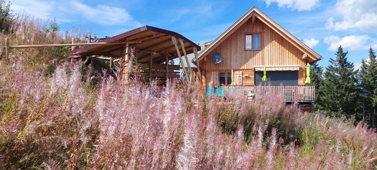 Chalet Die Berghexn Klippitztorl Exteriör bild